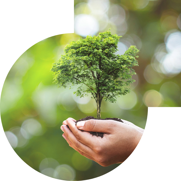 关怀人类、文化、环境与社会